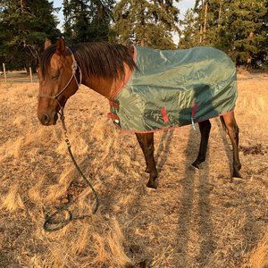 Bucas Ireland Turnout Rain Sheet Blanket [Horse Tack]